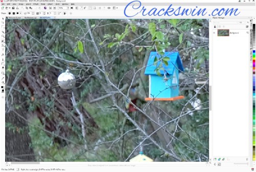CorelDraw Graphics Suite X8 Crack With Serial Key Download