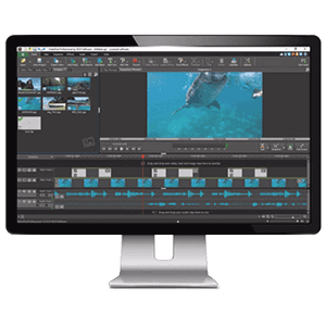 VideoPad Video Editor Crack