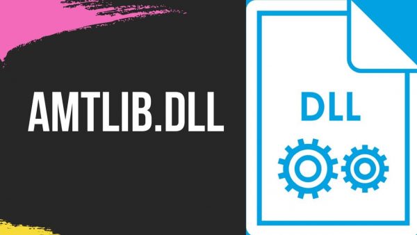Amtlib DLL Crack